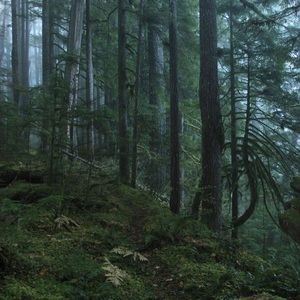 Meet your Posher, Francesca